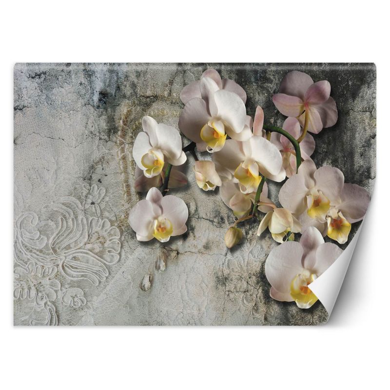 Fototapeta Feeby Orchidea kwiaty na tle starej ściany  100x70 1 szt