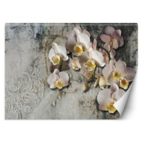 Fototapeta Feeby Orchidea kwiaty na tle starej ściany  100x70 1 szt