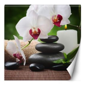 Fototapeta Feeby Orchidea świeczka i kamienie zen w SPA  200x200 1 szt
