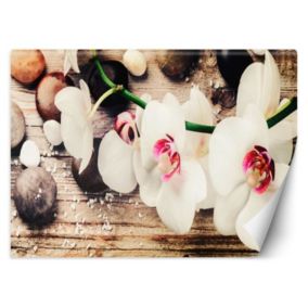 Fototapeta Feeby Orchidea zen feng shui  450x315 1 szt