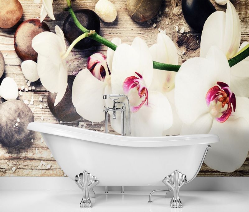 Fototapeta Feeby Orchidea zen feng shui  450x315 1 szt