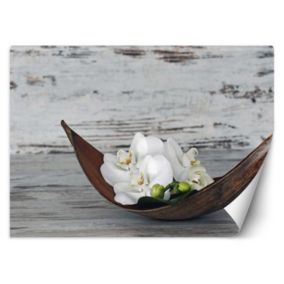 Fototapeta Feeby Orchidea zen spa  150x105 1 szt