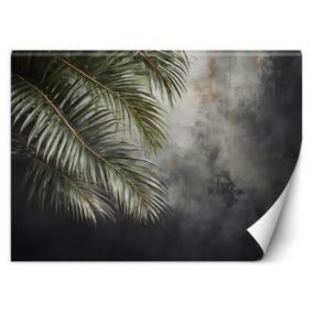 Fototapeta Feeby Palmy Beton Natura  100x70 1 szt