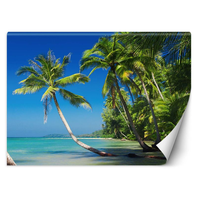 Fototapeta Feeby Palmy na dzikiej wyspie  100x70 1 szt