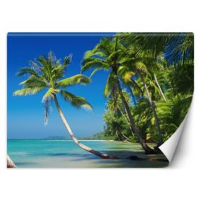 Fototapeta Feeby Palmy na dzikiej wyspie  100x70 1 szt