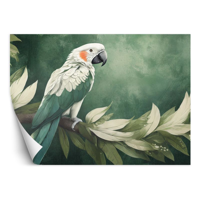 Fototapeta Feeby Papuga Ptak Zwierzęta  450x315 1 szt