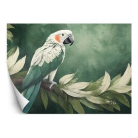 Fototapeta Feeby Papuga Ptak Zwierzęta  450x315 1 szt