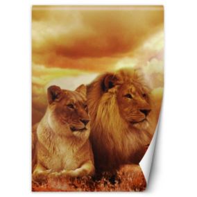 Fototapeta Feeby Para lwów  100x140 1 szt