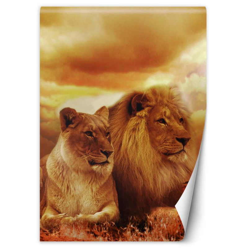 Fototapeta Feeby Para lwów  200x280 1 szt