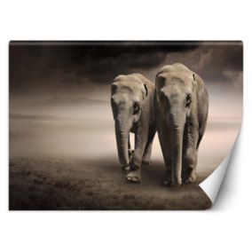 Fototapeta Feeby Para słoni afryka  200x140 1 szt