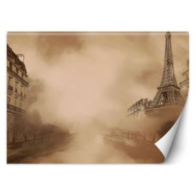 Fototapeta Feeby Paryż Miasto Vintage  150x105 1 szt