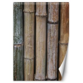 Fototapeta Feeby Pastelowe łodygi babmusa  150x210 1 szt