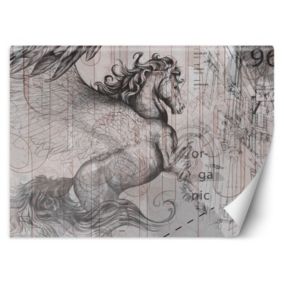 Fototapeta Feeby Pegaz koń abstrakcja  350x245 1 szt