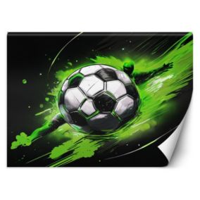 Fototapeta Feeby Piłka nożna  400x280 1 szt