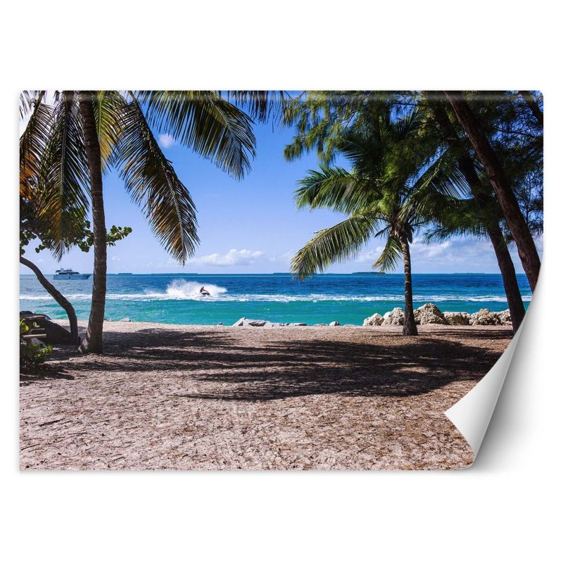 Fototapeta Feeby Piaszczysta plaża pomiędzy palmami  450x315 1 szt