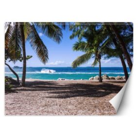 Fototapeta Feeby Piaszczysta plaża pomiędzy palmami  450x315 1 szt