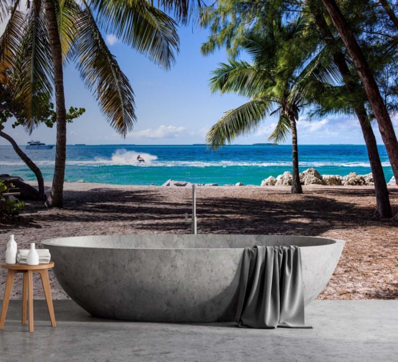 Fototapeta Feeby Piaszczysta plaża pomiędzy palmami  450x315 1 szt
