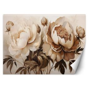 Fototapeta Feeby Piwonie Peonie Kwiaty w Beżu  250x175 1 szt