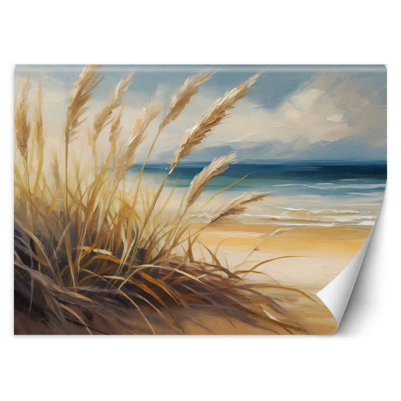 Fototapeta Feeby Plaża Krajobraz przyrodniczy  100x70 1 szt