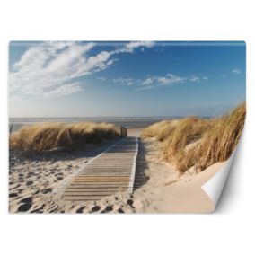 Fototapeta Feeby Plaża morze wydmy  254x184 1 szt