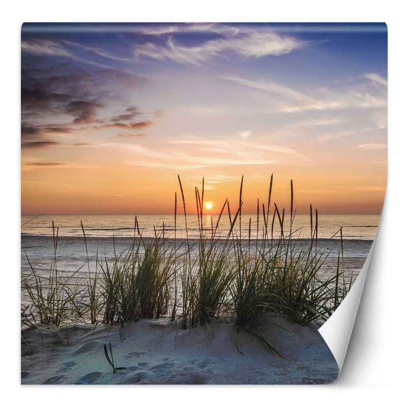 Fototapeta Feeby Plaża morze zachód słońca  100x100 1 szt