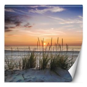 Fototapeta Feeby Plaża morze zachód słońca  100x100 1 szt