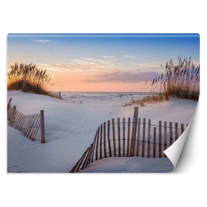 Fototapeta Feeby Plaża nad Bałtykiem  250x175 1 szt