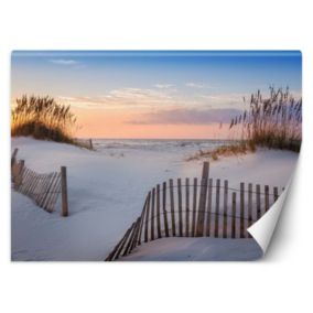 Fototapeta Feeby Plaża nad Bałtykiem  250x175 1 szt