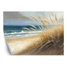 Fototapeta Feeby Plaża Wydmy morskie Przyroda  100x70 1 szt