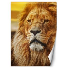 Fototapeta Feeby Portret lwa  200x280 1 szt