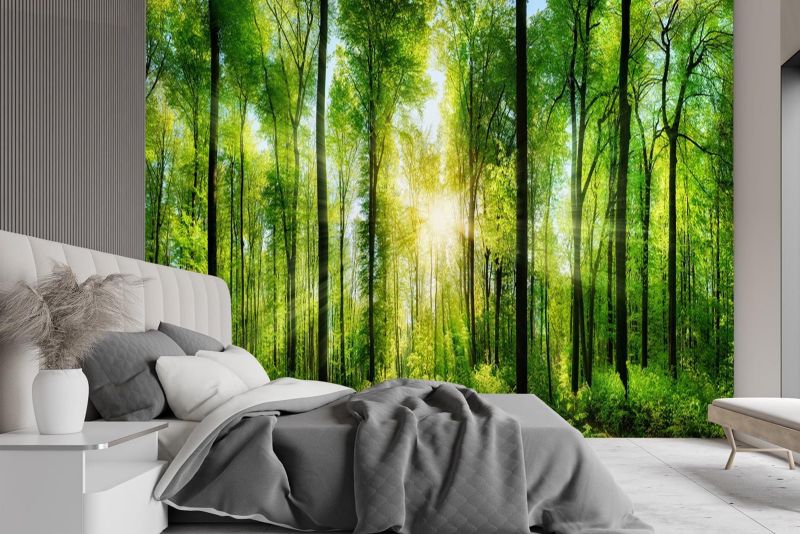 Fototapeta Feeby Promienie słońca las natura  368x254 1 szt