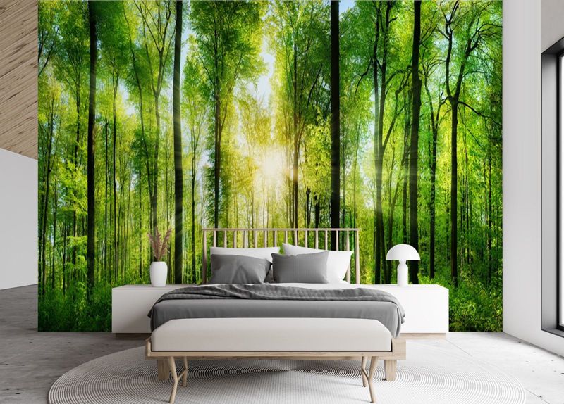 Fototapeta Feeby Promienie słońca w zielonym lesie  100x70 1 szt