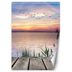 Fototapeta Feeby Ptaki nad morzem  150x210 1 szt