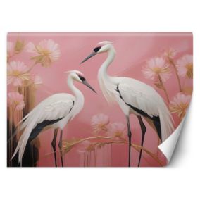Fototapeta Feeby Ptaki Żurawie Różowy  350x245 1 szt