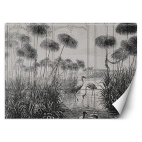 Fototapeta Feeby Ptaki żurawie trawy staw szary  250x175 1 szt