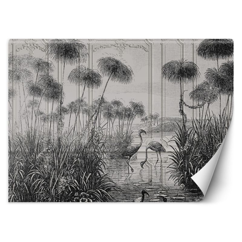 Fototapeta Feeby Ptaki żurawie trawy staw szary  350x245 1 szt
