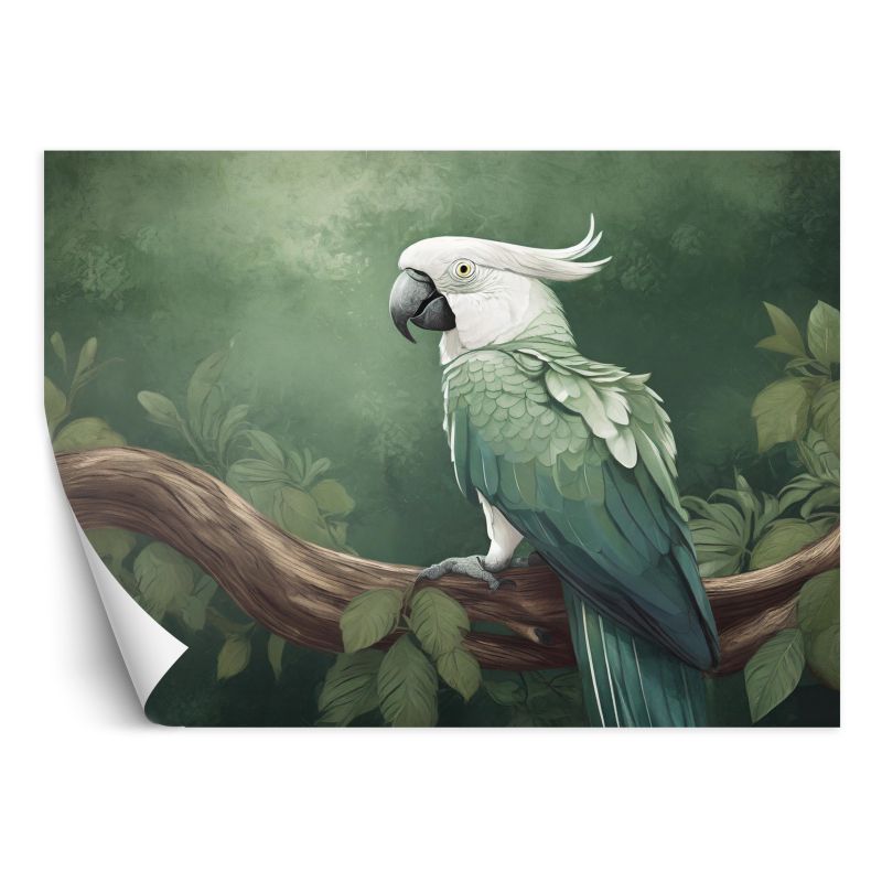 Fototapeta Feeby Ptaki Zwierzęta Papuga  250x175 1 szt