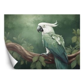 Fototapeta Feeby Ptaki Zwierzęta Papuga  250x175 1 szt