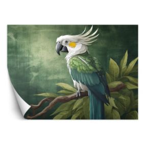 Fototapeta Feeby Ptaki Zwierzęta Papuga Zielona  150x105 1 szt