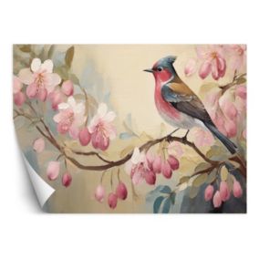 Fototapeta Feeby Ptaki Zwierzęta Shabby Chic  150x105 1 szt