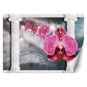 Fototapeta Feeby Różowy kwiat storczyk kolumny  254x184 1 szt