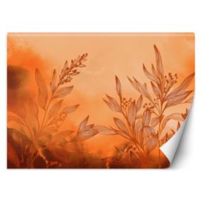 Fototapeta Feeby Rośliny Abstrakcja Pomarańczowy  150x105 1 szt