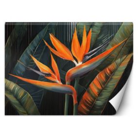 Fototapeta Feeby Rośliny Botanika  100x70 1 szt