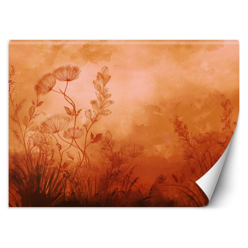 Fototapeta Feeby Rośliny Łąka Pomarańczowy  250x175 1 szt