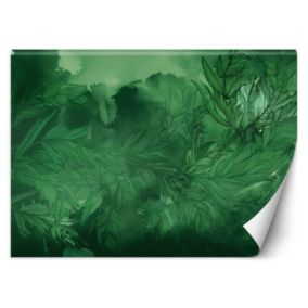 Fototapeta Feeby Rośliny Natura Botanika  150x105 1 szt