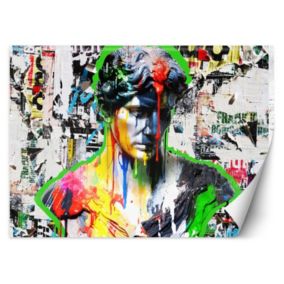 Fototapeta Feeby Rzeźba Pop Art  150x105 1 szt