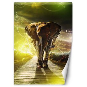 Fototapeta Feeby Słoń na drodze abstrakcja  100x140 1 szt