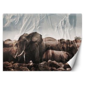 Fototapeta Feeby Słonie w stadzie  350x245 1 szt