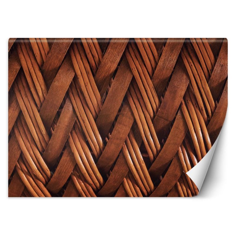 Fototapeta Feeby Splot wikliny 3D  200x140 1 szt