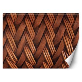 Fototapeta Feeby Splot wikliny 3D  200x140 1 szt
